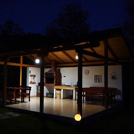 Guest House Carpathia Viseu de Sus Exterior photo