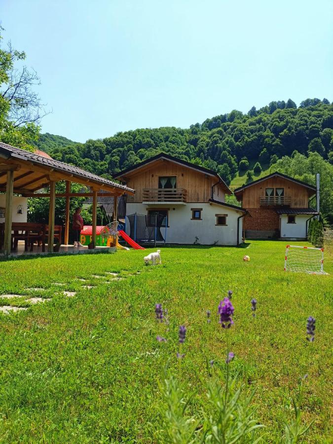 Guest House Carpathia Viseu de Sus Exterior photo