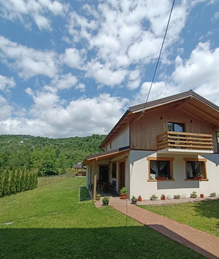 Guest House Carpathia Viseu de Sus Exterior photo