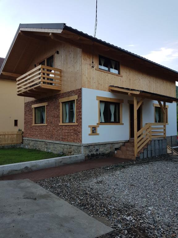 Guest House Carpathia Viseu de Sus Exterior photo