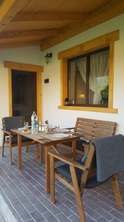 Guest House Carpathia Viseu de Sus Exterior photo