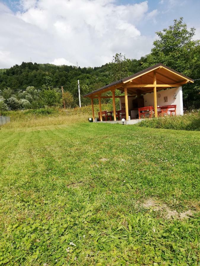 Guest House Carpathia Viseu de Sus Exterior photo